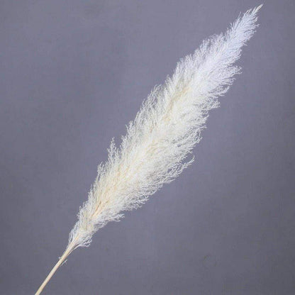 60cm Real Cream White Dried Pampas Grass Bouquet │ Fluffy Feather For Modern Boho Home Decoration Ornament - Besontique Home