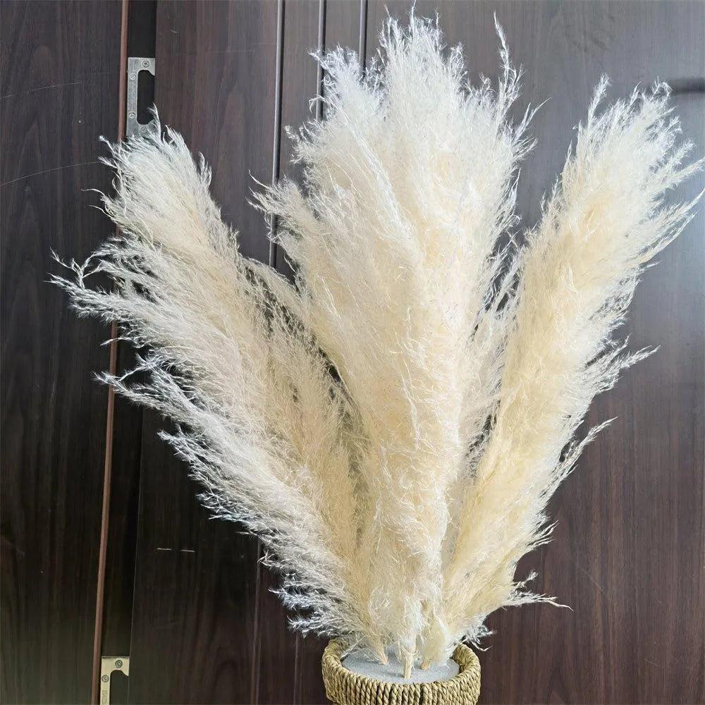 60cm Real Cream White Dried Pampas Grass Bouquet │ Fluffy Feather For Modern Boho Home Decoration Ornament - Besontique Home