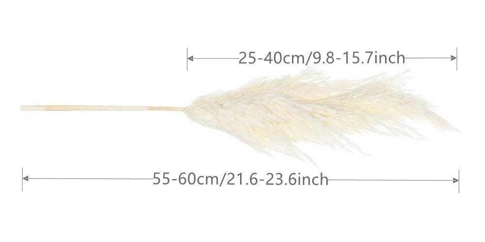 60cm Real Cream White Dried Pampas Grass Bouquet │ Fluffy Feather For Modern Boho Home Decoration Ornament - Besontique Home