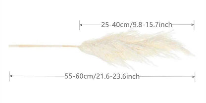 60cm Real Cream White Dried Pampas Grass Bouquet │ Fluffy Feather For Modern Boho Home Decoration Ornament - Besontique Home