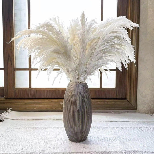 60cm Real Cream White Dried Pampas Grass Bouquet │ Fluffy Feather For Modern Boho Home Decoration Ornament - Besontique Home