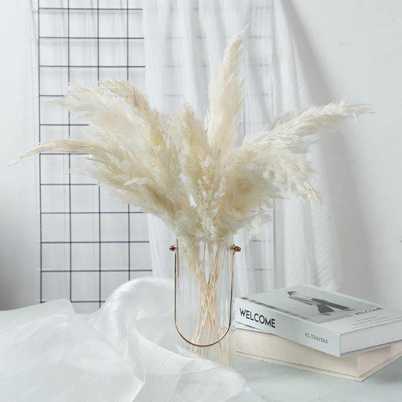 60cm Real Cream White Dried Pampas Grass Bouquet │ Fluffy Feather For Modern Boho Home Decoration Ornament - Besontique Home