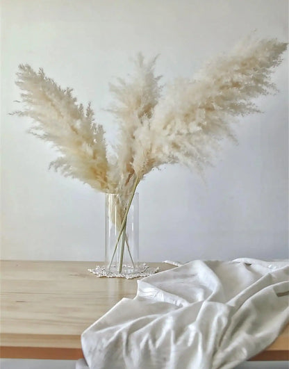 60cm Real Cream White Dried Pampas Grass Bouquet │ Fluffy Feather For Modern Boho Home Decoration Ornament - Besontique Home