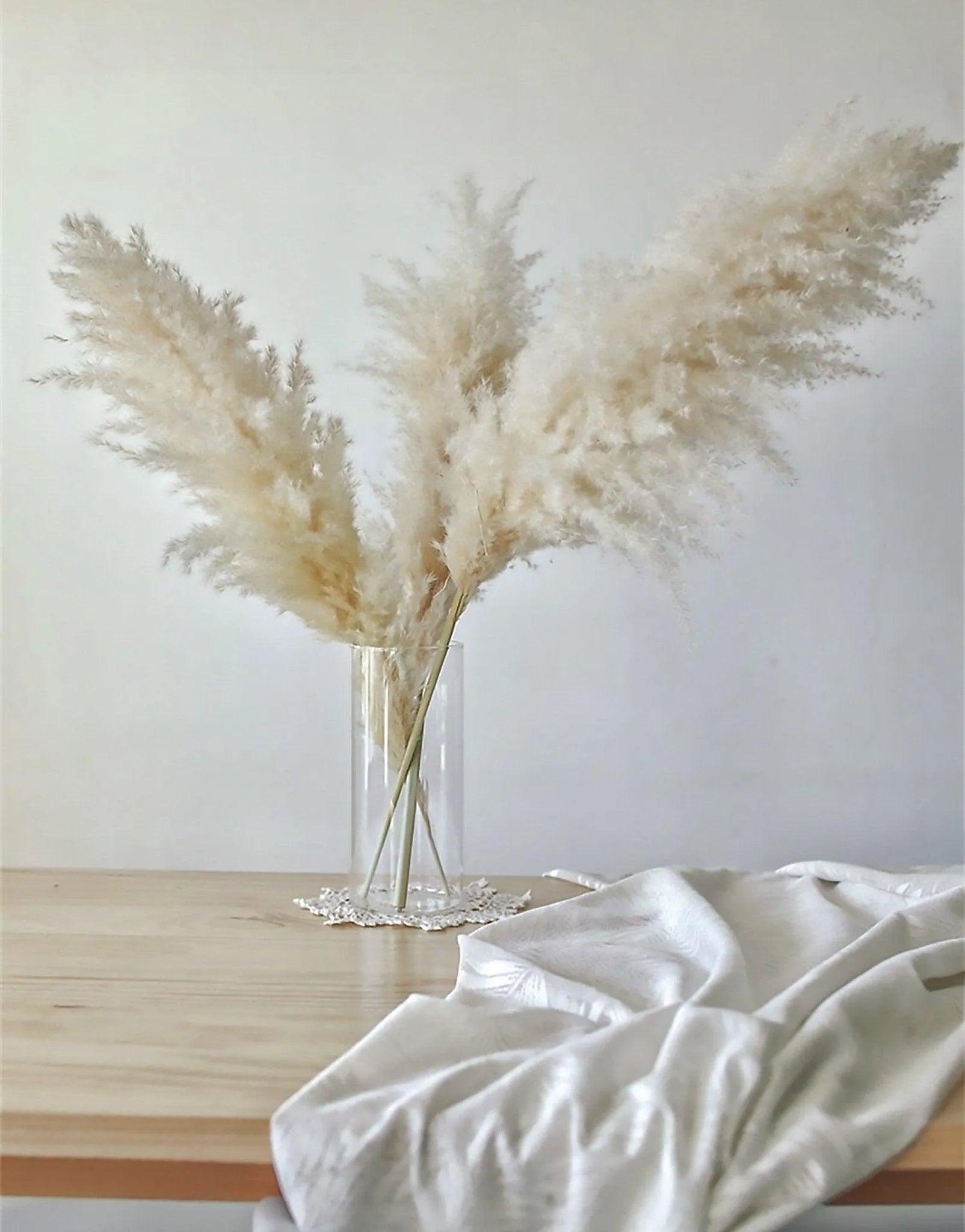 60cm Real Cream White Dried Pampas Grass Bouquet │ Fluffy Feather For Modern Boho Home Decoration Ornament - Besontique Home