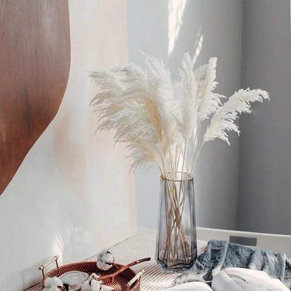 60cm Real Cream White Dried Pampas Grass Bouquet │ Fluffy Feather For Modern Boho Home Decoration Ornament - Besontique Home
