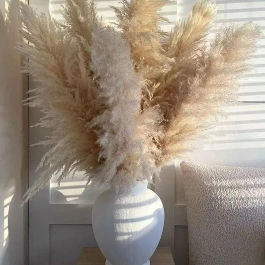 80 cm Natural Real Dried Pampas Grass Bouquet (White / Beige / Gray) │ Fluffy Feather For Modern Boho Home Decoration Ornament - Besontique