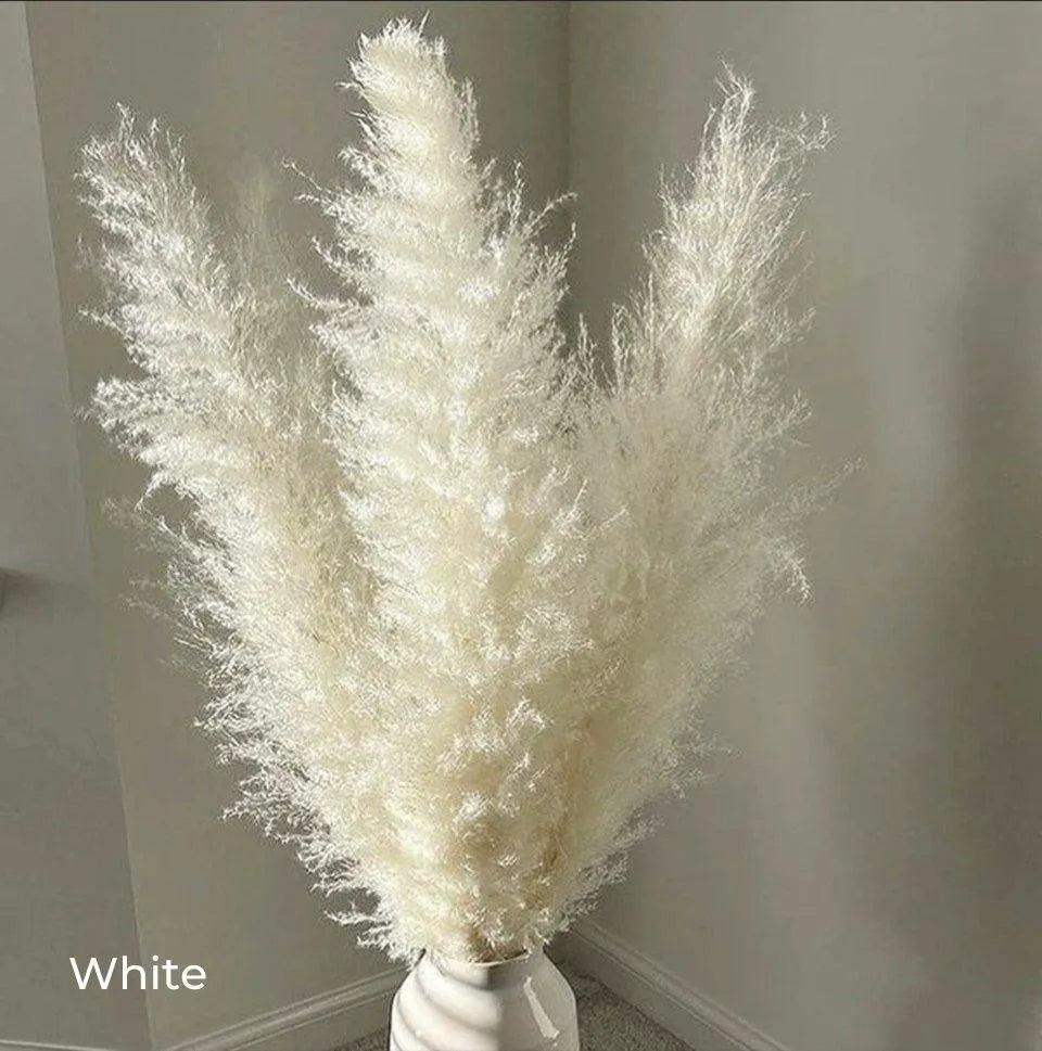80 cm Natural Real Dried Pampas Grass Bouquet (White / Beige / Gray) │ Fluffy Feather For Modern Boho Home Decoration Ornament - Besontique Home