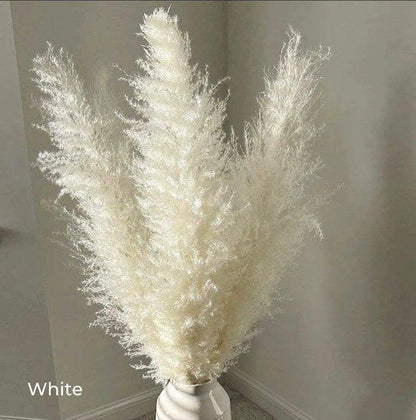 80 cm Natural Real Dried Pampas Grass Bouquet (White / Beige / Gray) │ Fluffy Feather For Modern Boho Home Decoration Ornament - Besontique Home