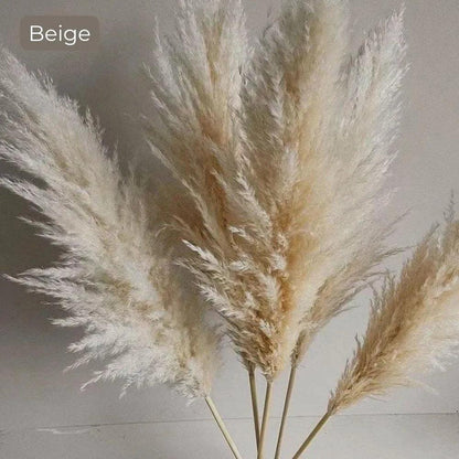80 cm Natural Real Dried Pampas Grass Bouquet (White / Beige / Gray) │ Fluffy Feather For Modern Boho Home Decoration Ornament - Besontique Home