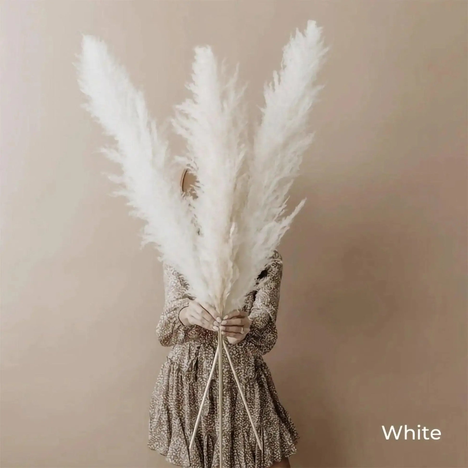80 cm Natural Real Dried Pampas Grass Bouquet (White / Beige / Gray) │ Fluffy Feather For Modern Boho Home Decoration Ornament - Besontique Home