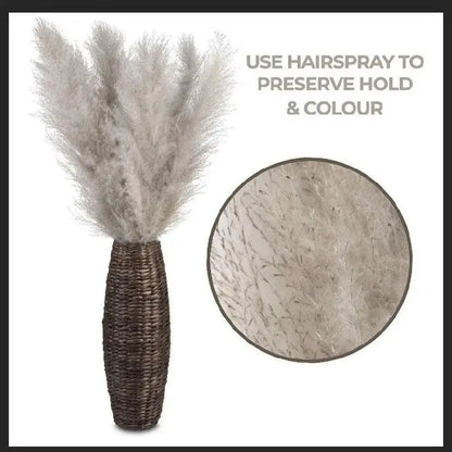 80 cm Natural Real Dried Pampas Grass Bouquet (White / Beige / Gray) │ Fluffy Feather For Modern Boho Home Decoration Ornament - Besontique Home