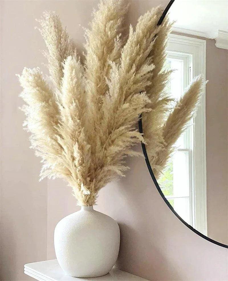 80 cm Natural Real Dried Pampas Grass Bouquet (White / Beige / Gray) │ Fluffy Feather For Modern Boho Home Decoration Ornament - Besontique Home