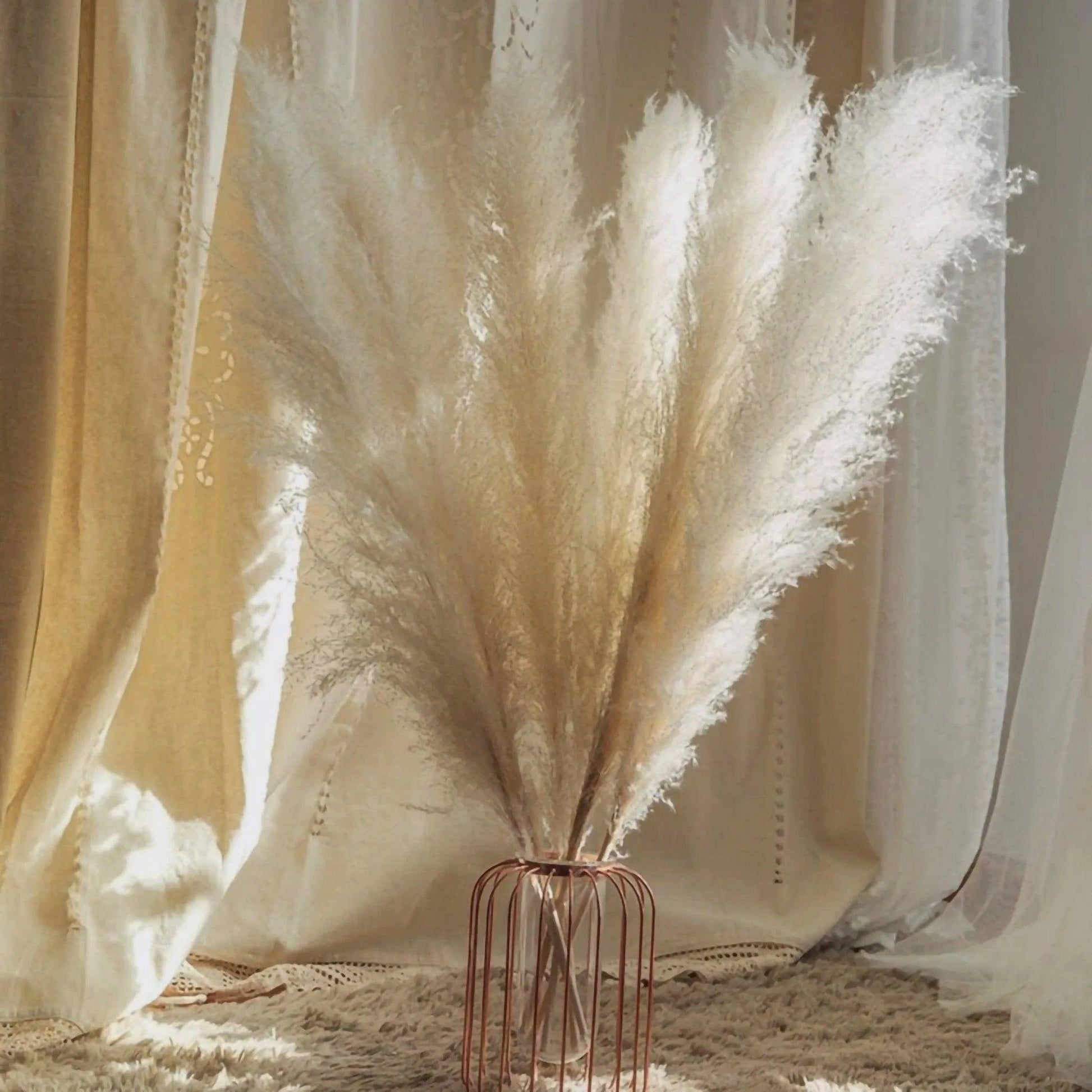 80 cm Natural Real Dried Pampas Grass Bouquet (White / Beige / Gray) │ Fluffy Feather For Modern Boho Home Decoration Ornament - Besontique Home