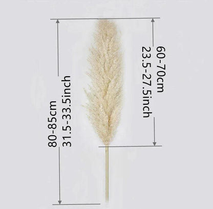 80 cm Natural Real Dried Pampas Grass Bouquet (White / Beige / Gray) │ Fluffy Feather For Modern Boho Home Decoration Ornament - Besontique Home