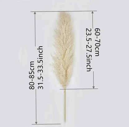 80 cm Natural Real Dried Pampas Grass Bouquet (White / Beige / Gray) │ Fluffy Feather For Modern Boho Home Decoration Ornament - Besontique Home