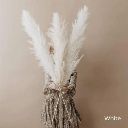 80 cm Natural Real Dried Pampas Grass Bouquet (White / Beige / Gray) │ Fluffy Feather For Modern Boho Home Decoration Ornament - Besontique Home