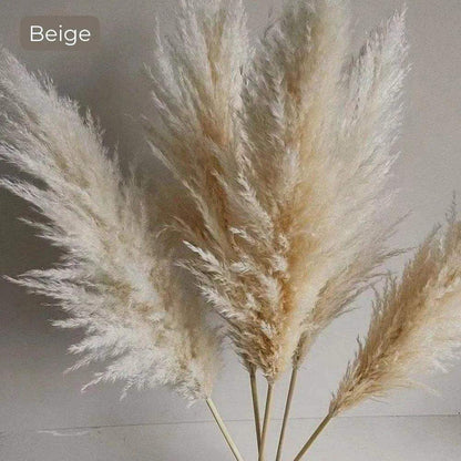 80 cm Natural Real Dried Pampas Grass Bouquet (White / Beige / Gray) │ Fluffy Feather For Modern Boho Home Decoration Ornament - Besontique Home
