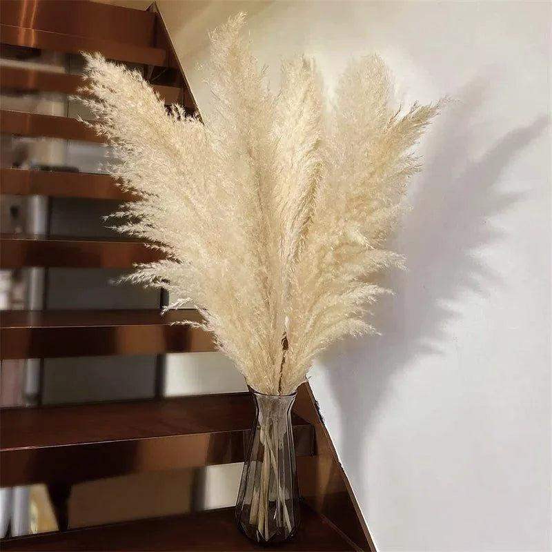 80 cm Natural Real Dried Pampas Grass Bouquet (White / Beige / Gray) │ Fluffy Feather For Modern Boho Home Decoration Ornament - Besontique Home