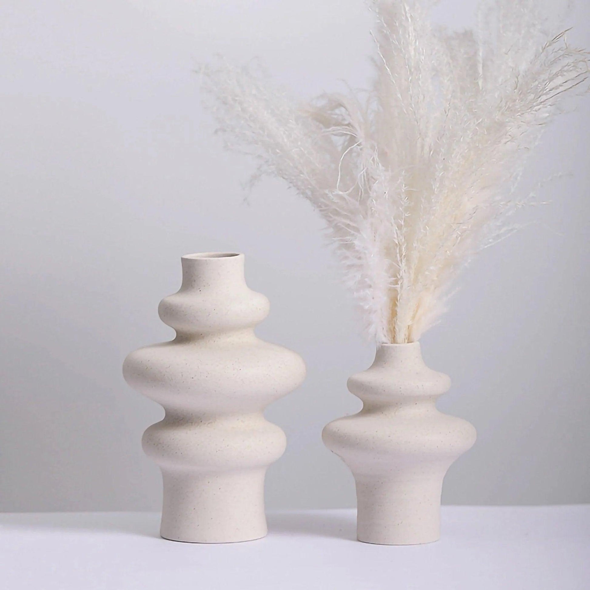 Beige Nordic Ceramics Dried Flower Vase │ Pampas Grass Pot Set│ Home Ornaments Decorations Gifts - Besontique Home