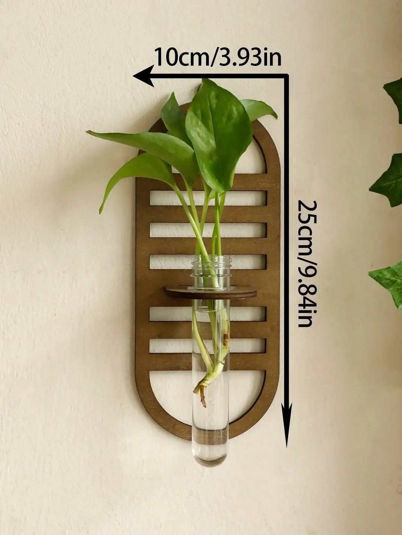 hydroponic plant holder Modern Boho Wood Wall Mounted Hanging Vase │ Hydroponic Transparent Glass Tube – Besontique Home