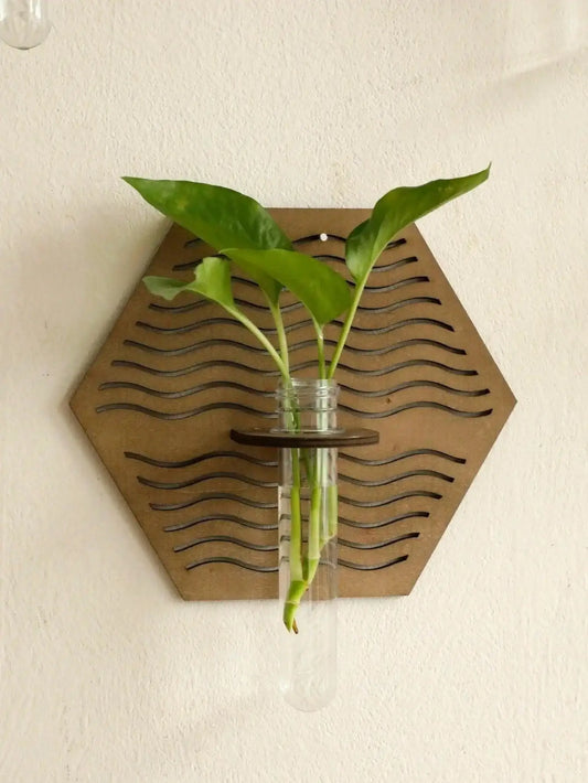 Modern Boho Wood Wall Mounted Hanging Vase │ Hydroponic Transparent Glass Tube Plant Holder - Besontique Home