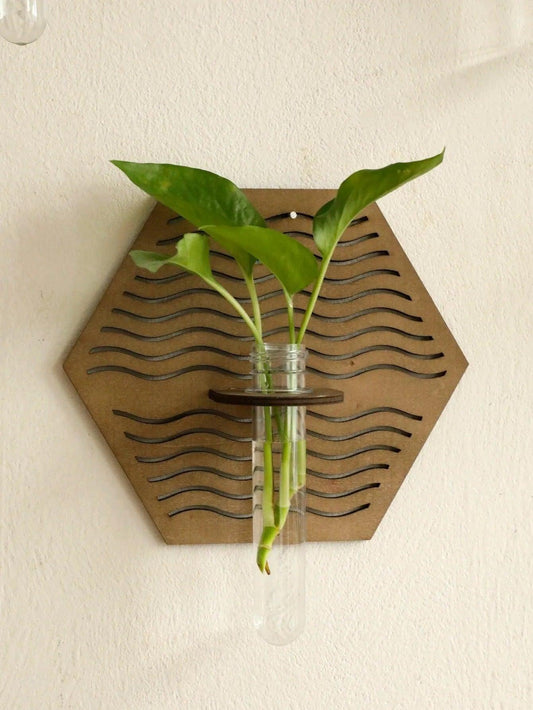 Modern Boho Wood Wall Mounted Hanging Vase │ Hydroponic Transparent Glass Tube Plant Holder - Besontique Home