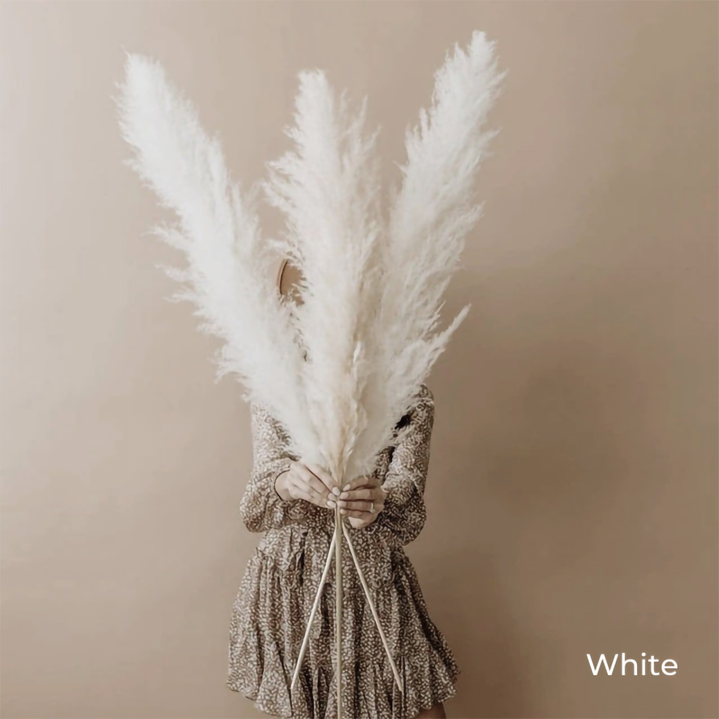 80 - 130 cm Natural Real Big Dried Pampas Grass Bouquet (White / Beige / Gray), Fluffy Feather For Modern Boho Home Decoration Ornament Besontique