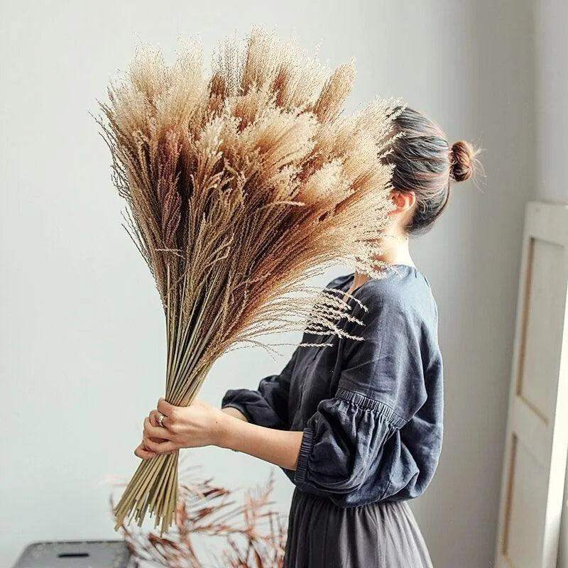 Natural Style Real Dried Pampas Reed Grass │ Dried Plants Home Decoration Accessories │ Dry Flower Bunch - Besontique Home