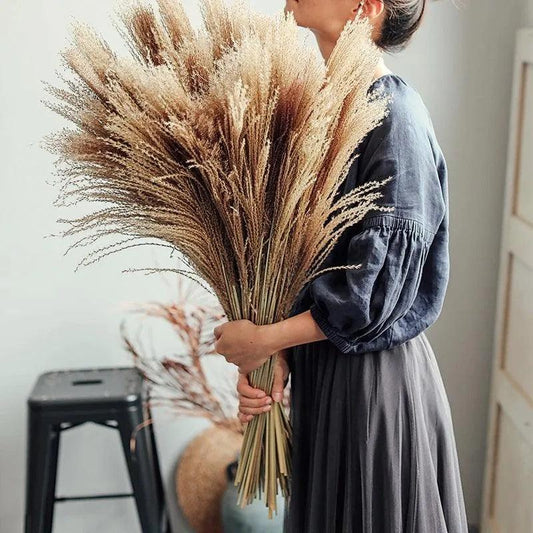 Natural Style Real Dried Pampas Reed Grass │ Dried Plants Home Decoration Accessories │ Dry Flower Bunch - Besontique Home
