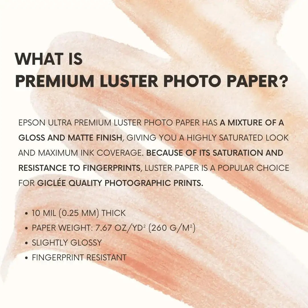 Nature Botanical Art Poster │ Minimalist Wall Print - Besontique Home